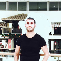 Saif Elnakous