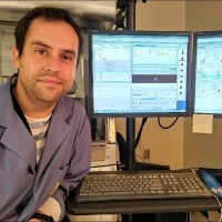 Bruno Rodrigues, Phd