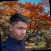 Asif Mahmoud Shawon