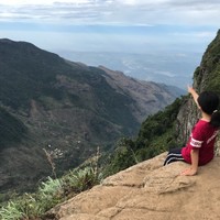 莉婷黃