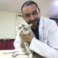 Tamer Elkholy