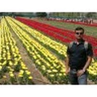 Akhilesh Kumar Dubey
