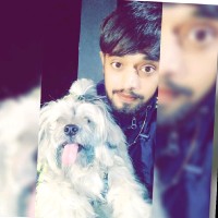 Sid Jadav