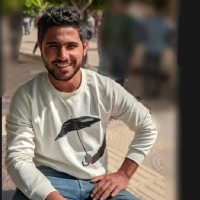 عبدالرحمن القصاص