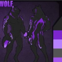 Night Wolf