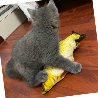 周真真