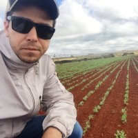Tiago Porto