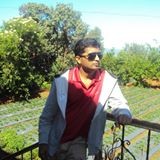Prasad Raul