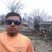 AMERICAN TREE EXPERT LANDSCAPING