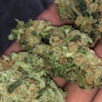 Weed Melbourne