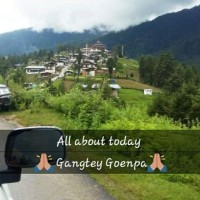 Sonam Wangyel Punap
