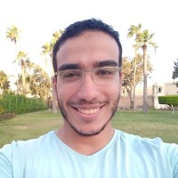 Ahmed Hafez