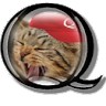 Feisty Cat
