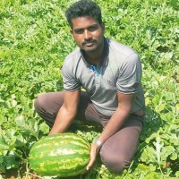 SIVAKUMAR E