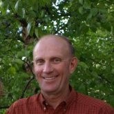 Louis Hedlund DDS