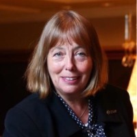 Dame Julia Cleverdon Dcvo, Cbe
