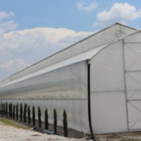 Joalberto Bautista Ramos