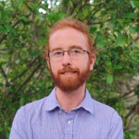 David Pattillo
