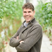 Pieter van der Schee