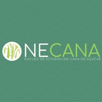 NECANA - UFLA