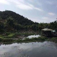 张可可