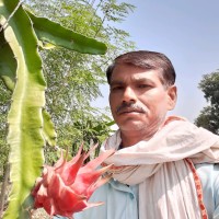 Ram Waghmare