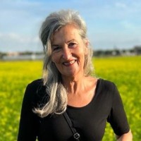 Elian van 't Westeinde