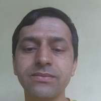 Maan Shimla