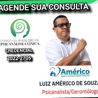 Luiz Américo Oliveira De Souza