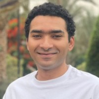 Bahaa El-Ashry