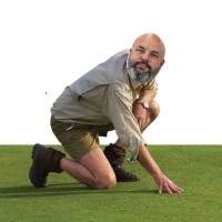 Jarod Krieg
