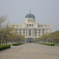 Serene Han