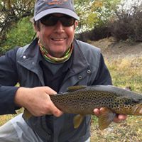 Graeme R. Martin  Ph.D.