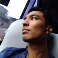 Raphael Kenzo De Brito Amaro