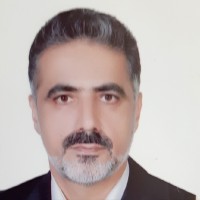 Hossain N.Toupchi