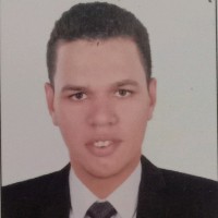 Mohamed Hassan Goda