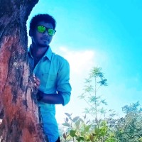 Robin Vignesh