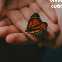 Entrenamiento Vivencial