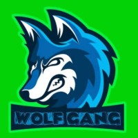 Stelotex Gamer