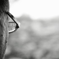 Alessandro Garbarini