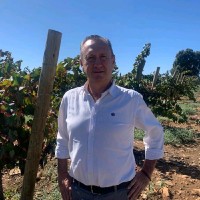 Eugenio Suñer Fernández - Cela