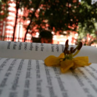 book worm
