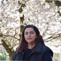 Shakiba Kamalizadeh