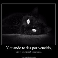 Freddy Hernandez