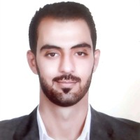 Fouad Abo Hussien
