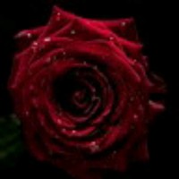 Harpreet Kaur