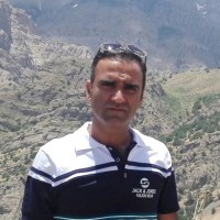 Mojtaba Agheli