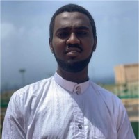Mahamat Saleh Abdoulaye Ali