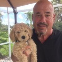 David Quin