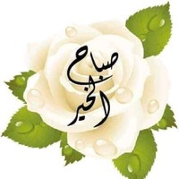 محمد حسن حلاق حلاق حلاق